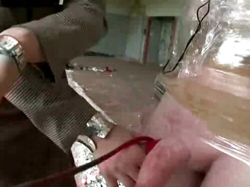 Un turista troie in  ...