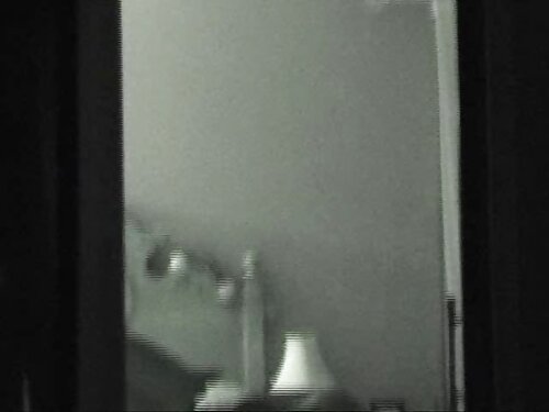 Incredibile trans as ...